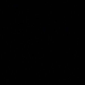 Meet your Posher, Louis